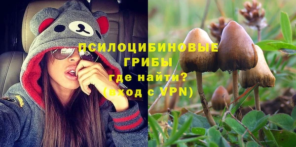 МДМА Алексеевка