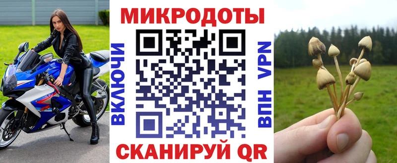 Галлюциногенные грибы Cubensis Олонец